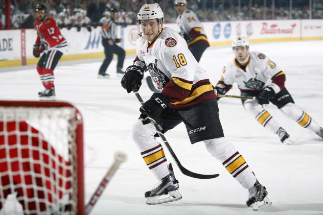 Chicago Wolves LW Yannick Veilleux vs. the Rockford IceHogs