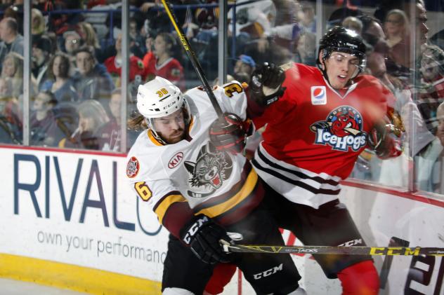 Chicago Wolves LW Riley Brace vs. the Rockford IceHogs