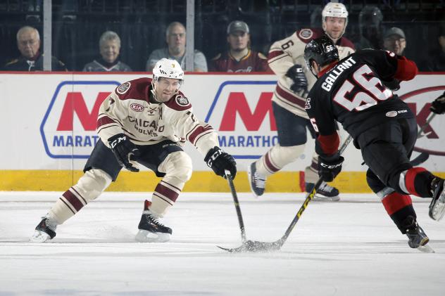 Chicago Wolves D Peter Harrold vs. the Lake Erie Monsters