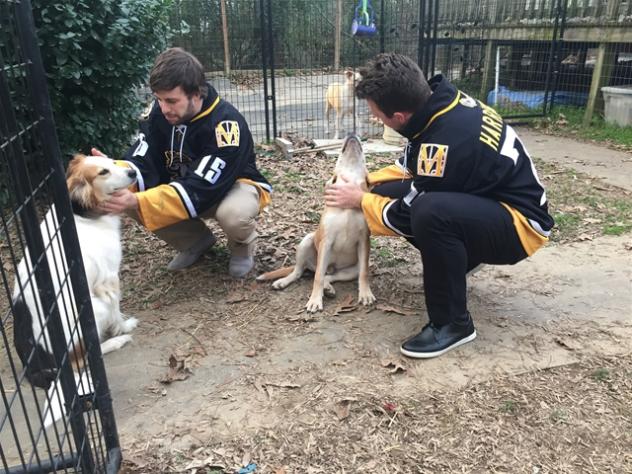 Matt Harrington and Mark Pustin of the Mississippi RiverKings at Southern Friends Animal Sanctuary