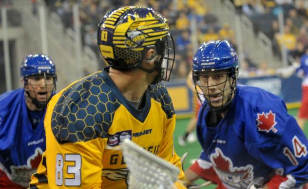 Randy Staats of the Georgia Swarm vs. the Toronto Rock