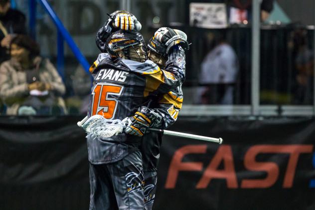 New England Black Wolves Celebrate a Goal