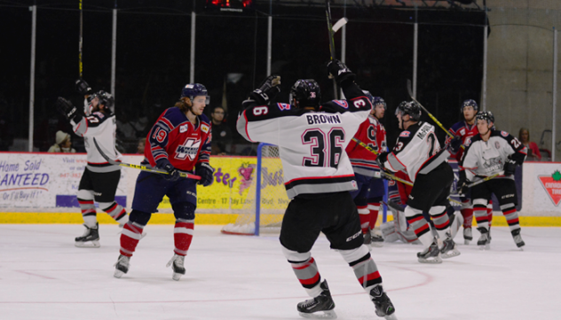 Brampton Beast Celebrate a Goal vs. the Kalamazoo Wings