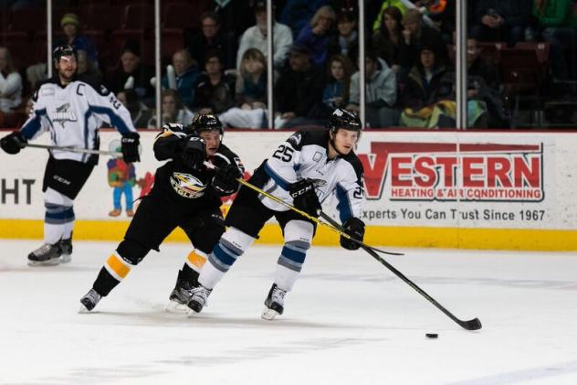 Defenseman Zack Kamrass (25) with the Idaho Steelheads