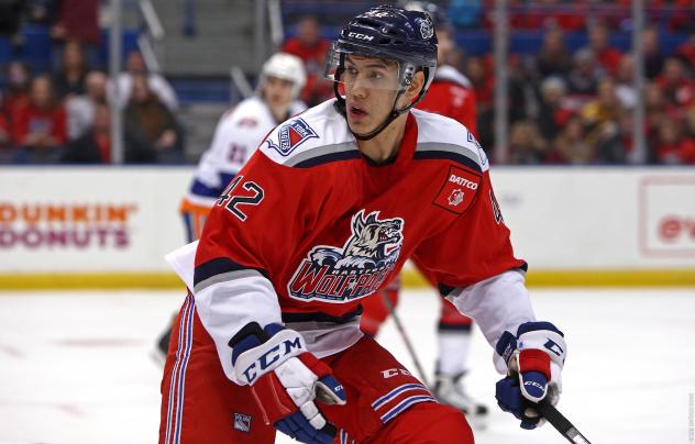Josh Nicholls of the Hartford Wolf Pack