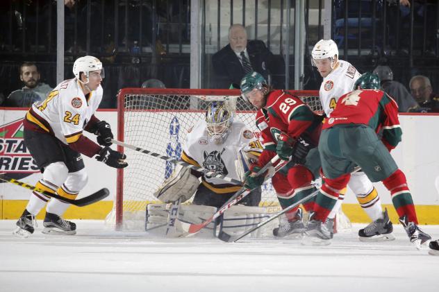 Chicago Wolves Defend the Net vs. the Iowa Wild