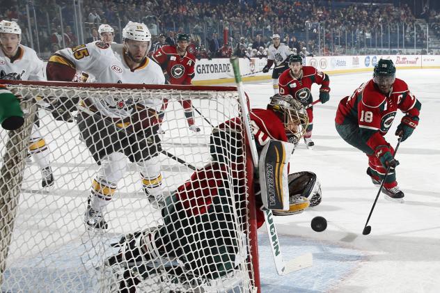 Chicago Wolves Press the Net vs. the Iowa Wild
