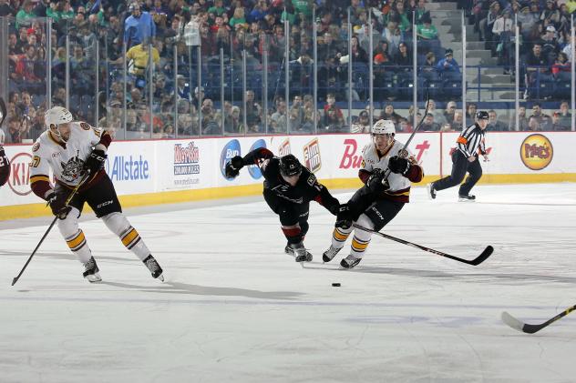 Eriah Hayes and Evan Trupp of the Chicago Wolves vs. the Lake Erie Monsters