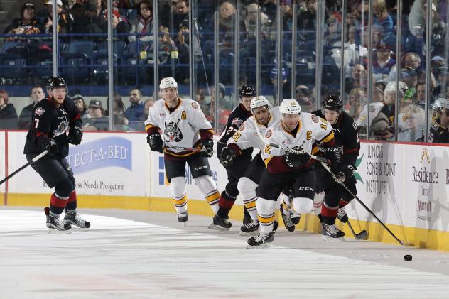 Chicago Wolves and Lake Erie Monsters Battle for the Puck