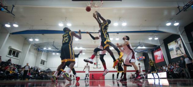NBL Canada Action