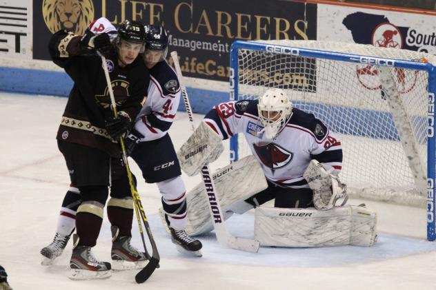 Goaltender Branden Komm with the South Carolina Stingrays