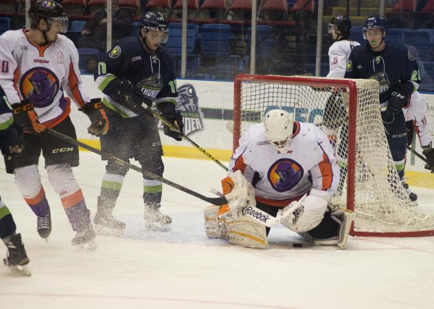 Bloomington Thunder Try to Sneak a Puck past the Youngstown Phantoms