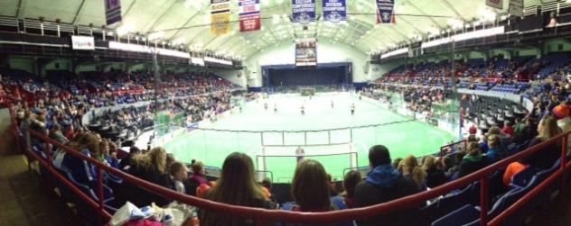 The View at a Syracuse Silver Knights Game