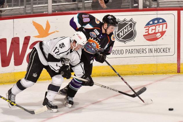 Manchester Monarchs vs. the Orlando Solar Bears