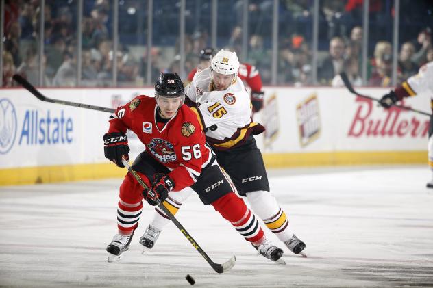 Chicago Wolves C Jeremy Welsh Hassles the Rockford IceHogs
