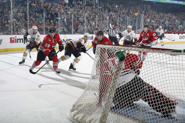 Chicago Wolves Close in on the Rockford IceHogs Goal