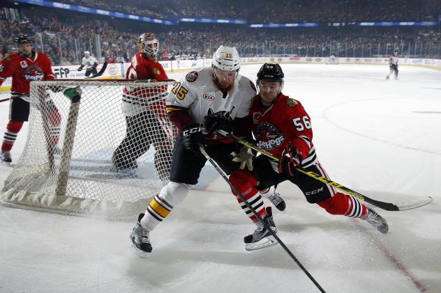 Jeremy Welsh of the Chicago Wolves Battles the Rockford IceHogs