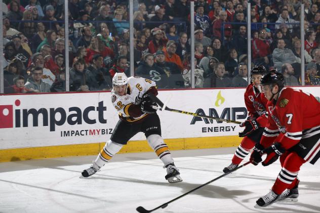 Chicago Wolves C Pat Cannone Takes a Shot vs. the Rockford IceHogs