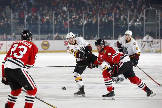 Chicago Wolves RW Danny Kristo Shoots vs. the Rockford IceHogs