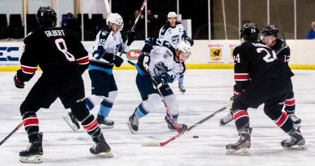 Defenseman Carver Watson with the Madison Capitols
