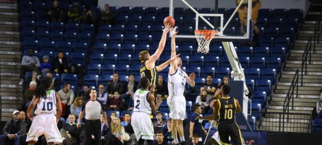 NBL Canada Action