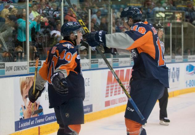 Flint Firebirds Celebrate a Goal