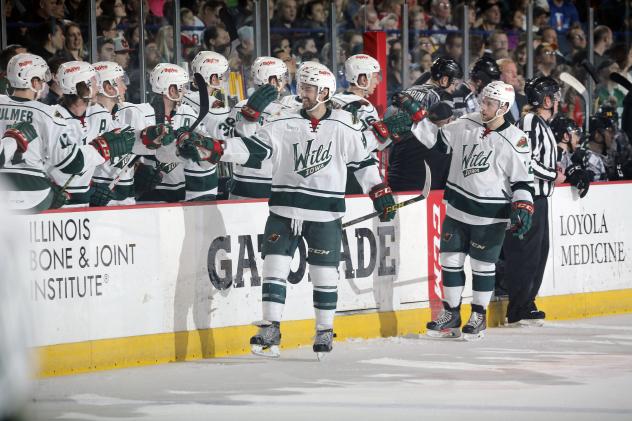 Iowa Wild Celebrate a Goal vs. the Chicago Wolves