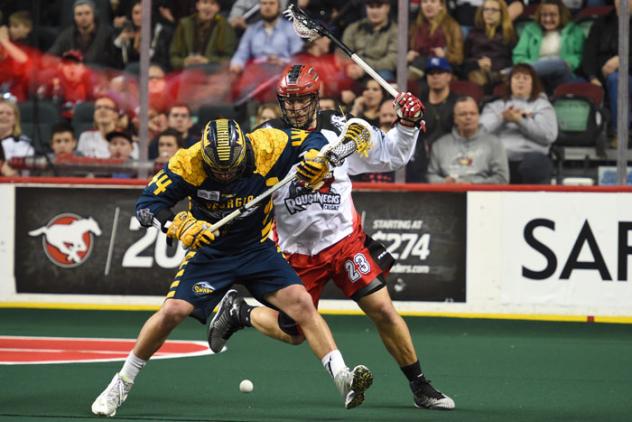 Chad Tutton of the Georgia Swarm Fights for a Loose Ball vs. the Calgary Roughnecks