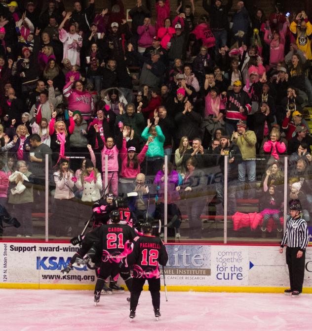 Fans Celebrate a Goal at Austin Bruins Paint the Rink Pink Game