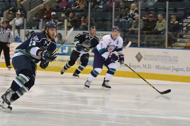 Florida Everblades Skate against the Orlando Solar Bears