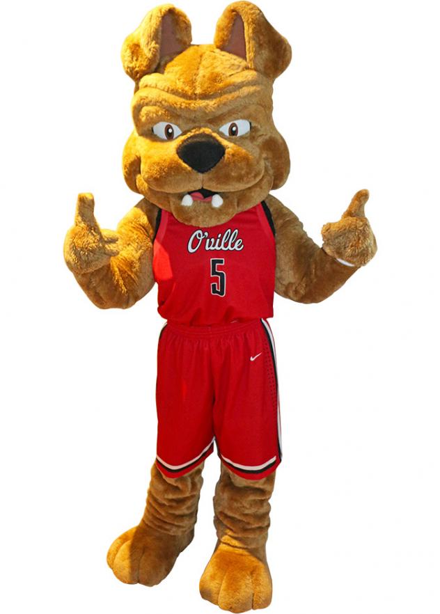 Orangeville A's Mascot Gus