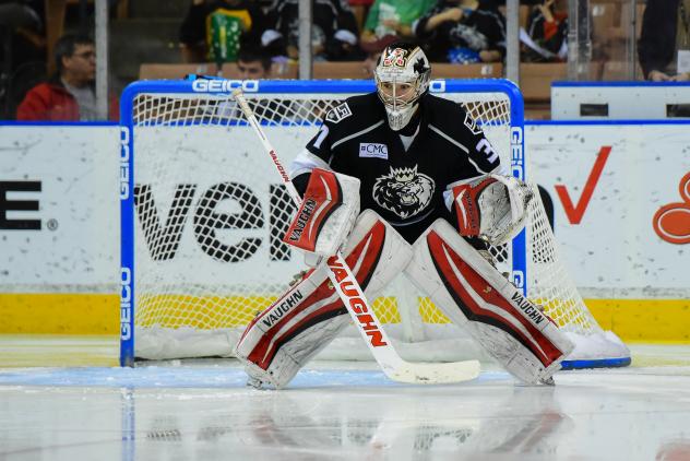 Manchester Monarchs Goaltender Doug Carr