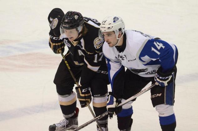 Saint John Sea Dogs Square off with the Charlottetown Islanders