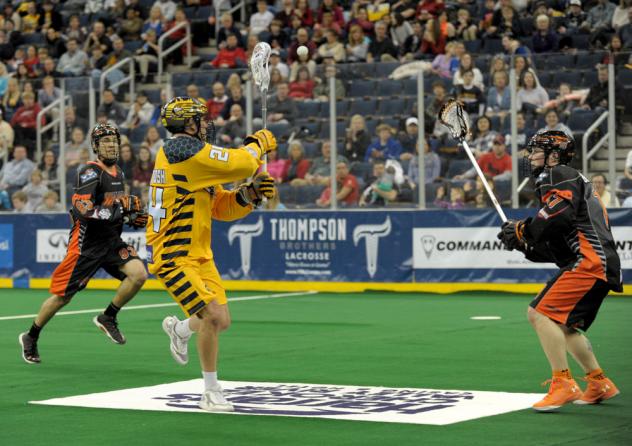 Jordan MacIntosh of the Georgia Swarm Collects the Ball vs. the Buffalo Bandits