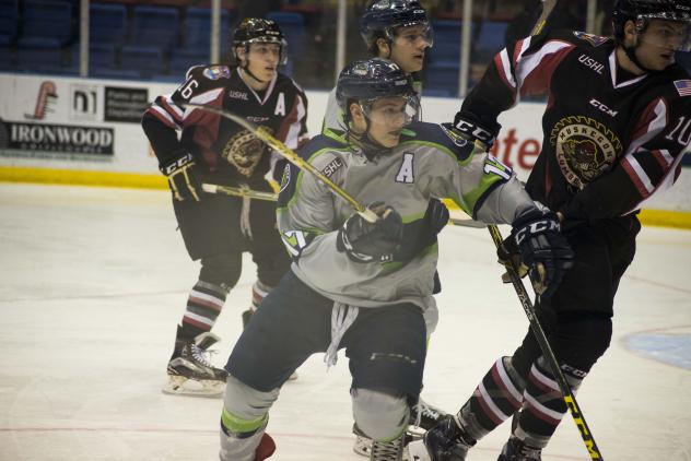 Bloomington Thunder Forward Tarek Baker