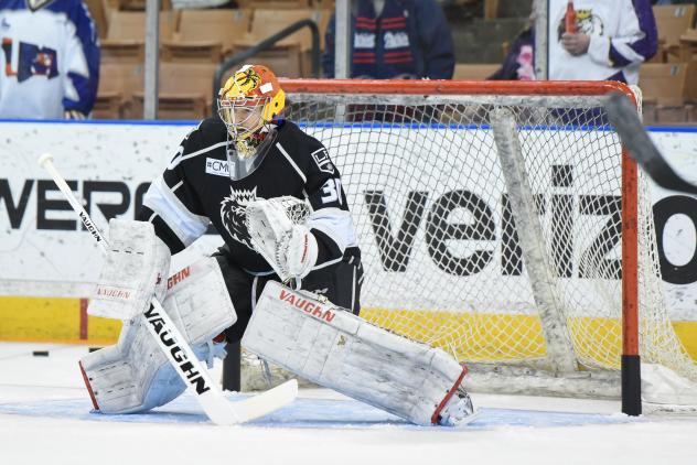 Manchester Monarchs Goaltender Colin Stevens