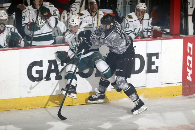 Chicago Wolves LW Dmitrij Jaskin Levels the Iowa Wild RW Zack Mitchell