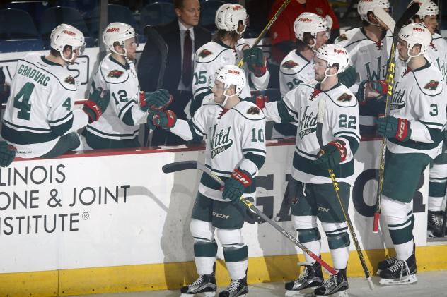 The Iowa Wild Bench Offers Congratulations on a Goal vs. the Chicago Wolves