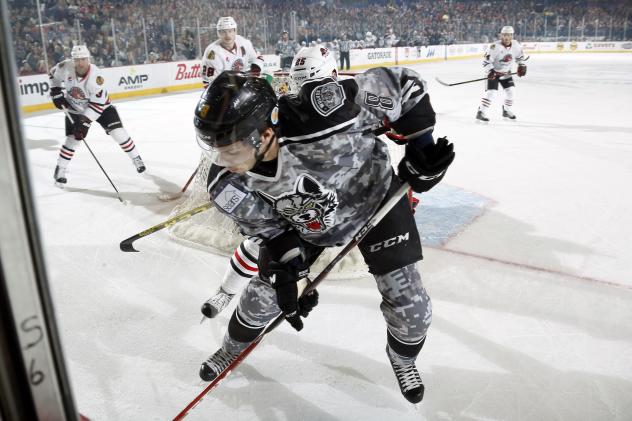 Chicago Wolves RW Ty Rattie vs. the Rockford IceHogs