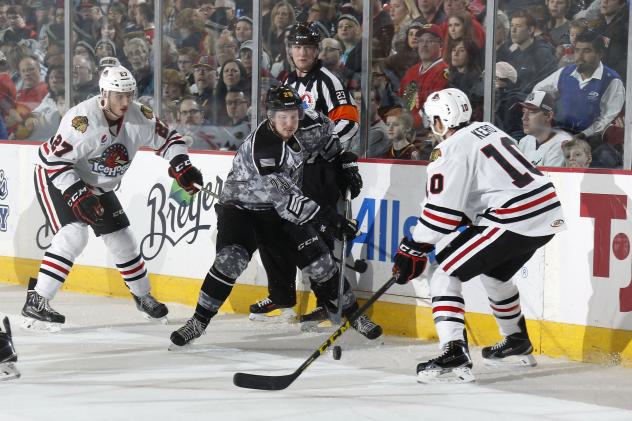 Chicago Wolves RW Danny Kristo vs. the Rockford IceHogs