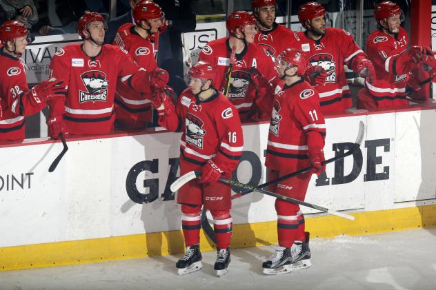 Charlotte Checkers Bench Celebrates a Goal vs. the Chicago Wolves