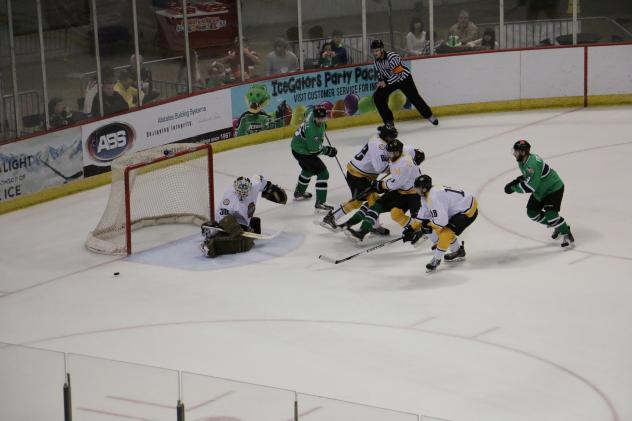 Louisiana IceGators vs. the Mississippi RiverKings
