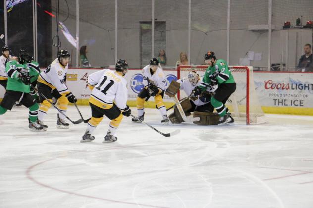 Louisiana IceGators vs. the Mississippi RiverKings