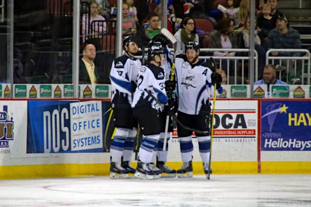 Idaho Steelheads Celebrate a Goal vs. the Wichita Thunder