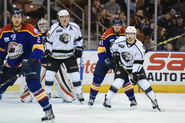 Manchester Monarchs vs. the Norfolk Admirals