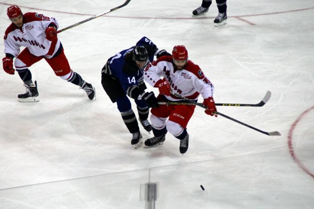Allen Americans Battle the Wichita Thunder for the Puck