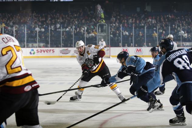 Chicago Wolves C Pat Cannone Handles the Puck vs. the Milwaukee Admirals