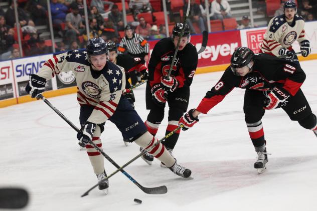 Tri-City Americans Chase down the Puck vs. the Prince George Cougars