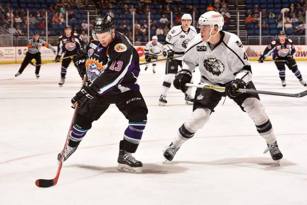 Manchester Monarchs Face the Orlando Solar Bears