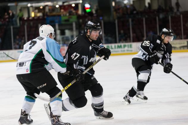 Idaho Steelheads vs. the Alaska Aces